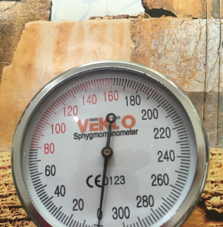 گیج فشارسنج درجه یک وکتو